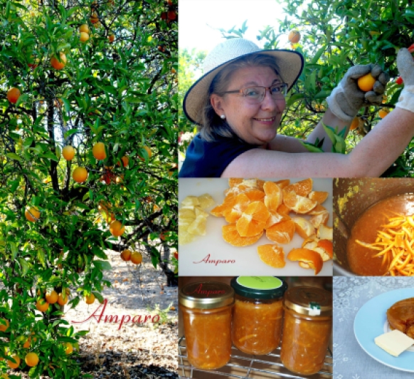 Confitura de Naranja