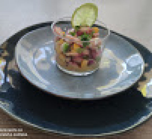 Ceviche de pulpo y gambas con Thermomix® - Majadahonda- Madrid